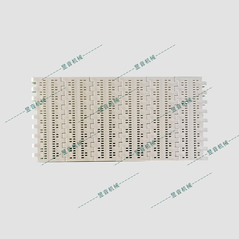 1610ai-pg-fk平格方孔型网带（反面一条筋型）